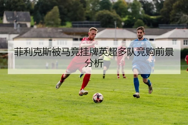 fei-li-ke-si-bei-ma-jing-gua-pai-ying-chao-duo-dui-jing-gou-qian-jing-fen-xi-2-295.jpg